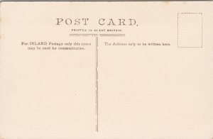 Ely Cemetery England UK Unused Valentines Series 17717 Postcard H7