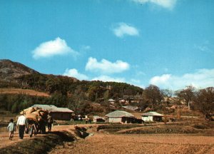 Rural,South Korea