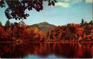 Mountain Reflections New England Autumn Fall WOB Mike Roberts Vintage Postcard 