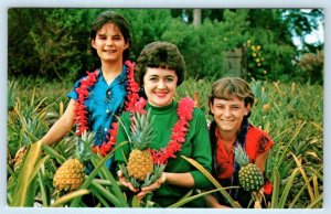 LAKE PLACID, Florida FL ~ Pineapples PLANTATION PARADISE Roadside 1970s Postcard