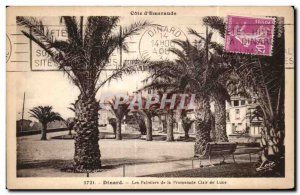 Old Postcard Dinard The Palms of Promenade Clair de Lune