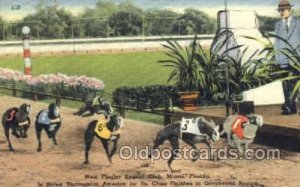 West Flagger Kennel Club, Miami Beach, FL USA Dog Racing, 1951 postal used 1951