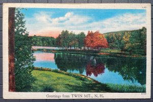 Vintage Postcard 1930-1945 Greetings from Twin Mountain New Hampshire