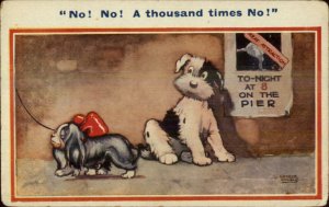 George Willis - Cute Dogs Romace Postcard