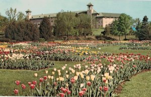 Some of the 200 Tulip Varieties at the Hershey Rose Gardens and Arboretum wit...