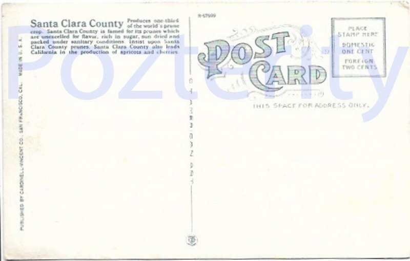 SANTA CLARA COUNTY AT BLOSSOM TIME #2