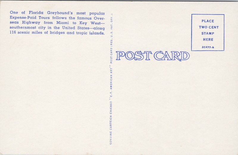 Greyhound Bus Seven Mile Bridge FL Miami Key West Women Fishing Postcard H19