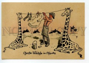 490246 WWII German military company Africa giraffes clothes are dried humor