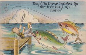 Fishing Humour Boy Do These Babies Go For Live Bait Up Here