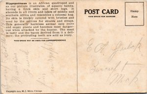 Hippopotamus Hunters