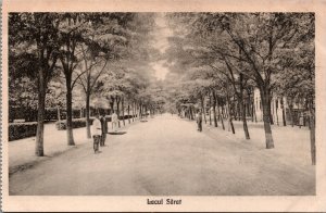 Romania Lacul Sarat Braila, Lacu Sărat Brăila Vintage Postcard C098