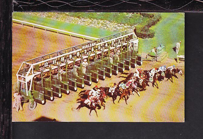 Start of Race,Hialeah Race Course,Miami,FL Postcard 