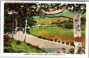 Postcard ROAD SCENE Petersburg New York NY AK5037