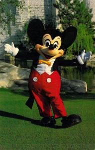 Walt Disney World 0100-11600m Mickey's Welcome to WDW,Vintage Postcard