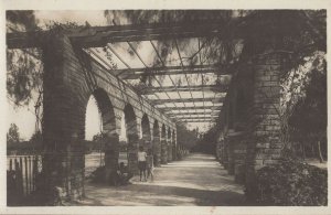 Casablanca Le Parc Lyautey Spooky Pathway Old Real Photo Postcard