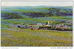 Canada Deer Springs Ranch Porcupine Hills Alberta