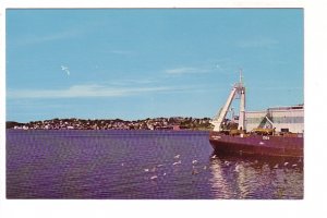 Harbour, Battery Point, Cape Morrow Boat, Seagulls, Lunenburg, Nova Scotia