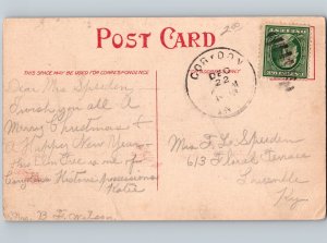 c1909 Old Constitutional Elm Tree Corydon Indiana IN Postcard