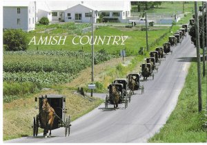 Amish Country Amish Funeral Procession Pennsylvania 4 by 6