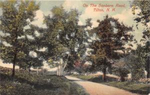 Tilton New Hampshire~On Sanborn Road~Group of Birches~1908 Postcard