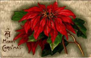 Christmas Poinsettia BIN