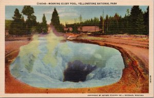 Morning Glory Pool Yellowstone National Park MT Postcard PC499