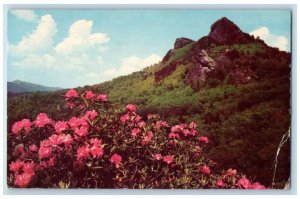 1955 Grandfather Mountain Blue Ridge Parkway Cherokee North Carolina NC Postcard 