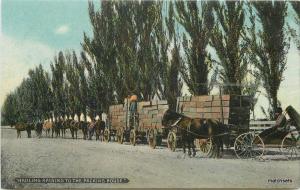 Agriculture C-1910 Hauling Raisins packing House farming California