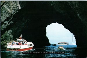 Hole in the Rock Piercy Island Cape Brett New Zealand Postcard