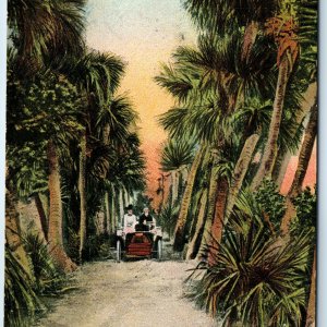 c1900s Ormond FL Touring Car Old Causeway Drive PC Road Palm Tree Bosselman A274