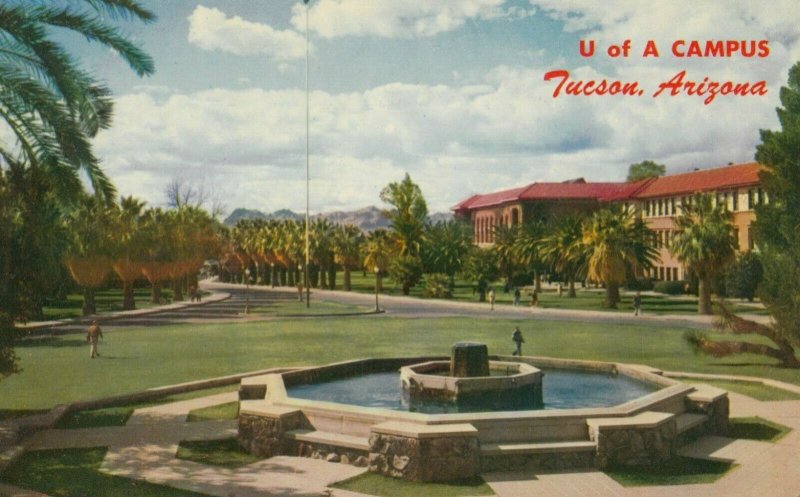 TUCSON , Arizona , 1950-60s ; U. of A. Campus