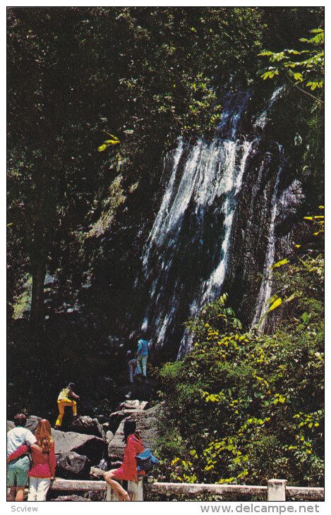 Luquillo Puerto Rico Pu 1978 Catarata Coca El Yunque Latin And South America South