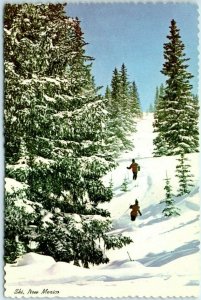 M-29127 Two Skiers enjoying a slope in the mountains of Northern New Mexico