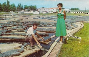 Vicksburg MS, Waterways Experimental Station, 1960's, Man & Woman, Engineering