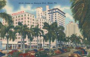 Palm Trees and Cars on Biscayne Boulevard - Miami FL, Florida - Linen