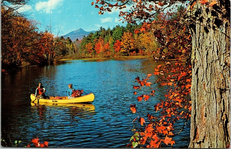 Greetings From Norwich New York NY Canoeing Fall Autumn Scene Postcard VTG UNP 