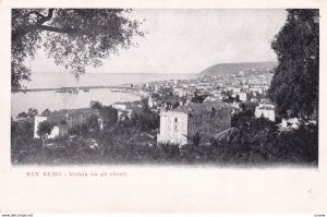 SAN REMO , Italy , 00-10s ; Veduta fra gli oliveti