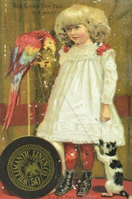 1881 Atlanta Expo. Willimantic Linen Co. Girl With Parrot & Playful Cat P111