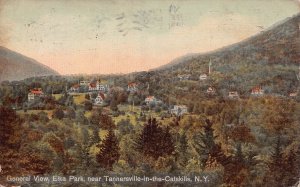 TANNERSVILLE-in-the CATSKILLS NEW YORK~GENERAL VIEW ELKA PARK~1914 POSTCARD