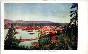 1900s Bird's Eye View of Dock Coeur d'Alene ID Postcard