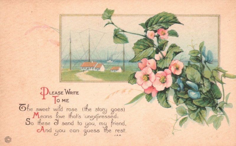 Vintage Postcard Please Write To Me The Sweet Wild Rose The Story Goes Souvenir