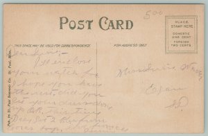 Pipestone Minnesota~Public Library~c1910 Postcard
