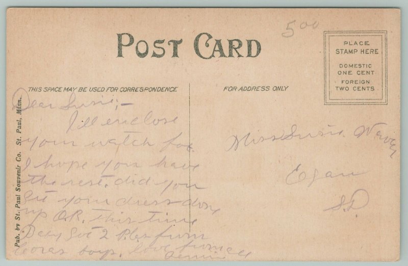 Pipestone Minnesota~Public Library~c1910 Postcard