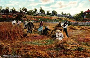 Sweden Harvesting Scene