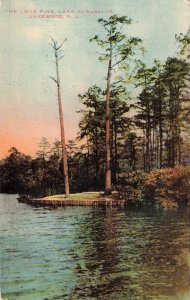1911 Lone Pine Lake Carasaljo Lakewood N.J. Postcard 2R4-279