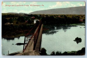 1910 Williamsport Pennsylvania Postcard Bridge Loyalsock Creek Souvenir Unposted