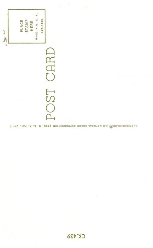 Dog ,I didn't do anything , Puppy