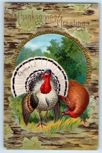 1911 Thanksgiving Greetings Turkey Embossed Nash East Hartford CT Postcard