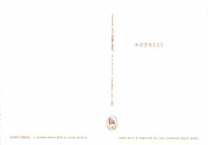 Santa Catalina Island - California