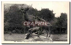 Old Postcard Nantes Au Jardin des Plantes Les Cerfs by Gardet